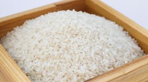 농식품부, 쌀 수급 안정 위해 정부양곡 10만톤 추가 공급