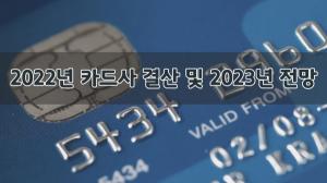 [이슈] 2023년 카드사 펀더멘털은 여전히 안정적..."실적 개선은 미지수"